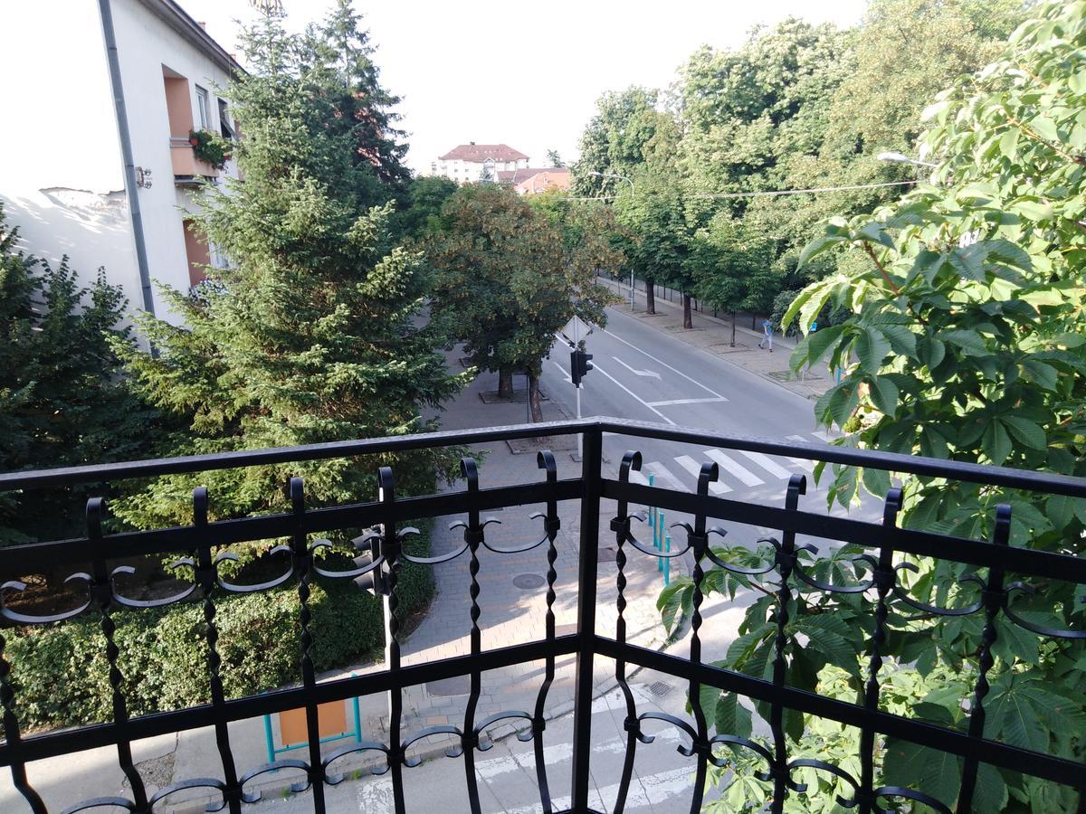 Veliki Park Villa Šabac Buitenkant foto
