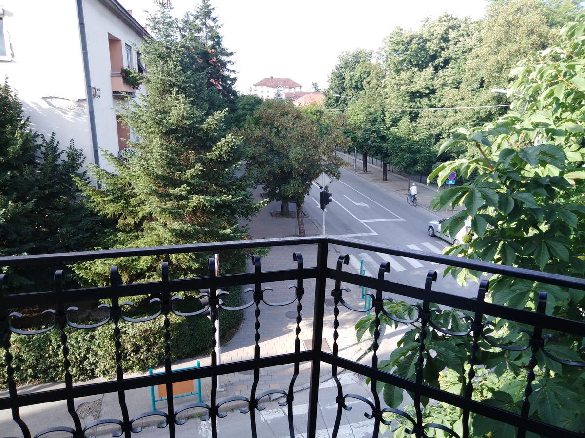 Veliki Park Villa Šabac Buitenkant foto